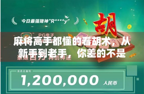 麻将高手都懂的看胡术，从新手到老手，你差的不是运气，是这3个关键认知！